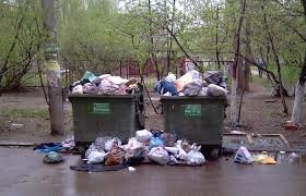 Потому что в Европе нет кормовой базы как у нас.
Если бездомным собакам нечего будет есть, они как-бы исчезнут...