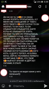 В Краснодаре организовали выставку искусства для котиков