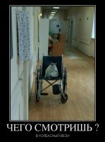 тут на липосакцию надо)