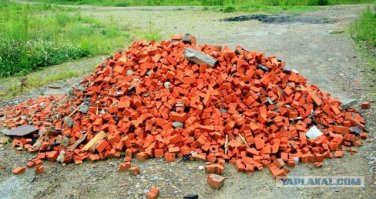Аллигатор прыгнул в лодку к подплывшим слишком близко туристам