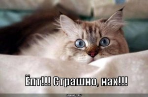 Случай из жизни: они просто возвращались домой ночью и решили изменить маршрут