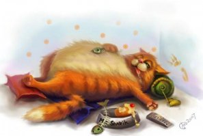 Жизнь котов