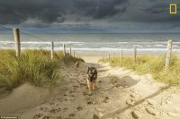 Лучшие пляжи мира по мнению National Geographic