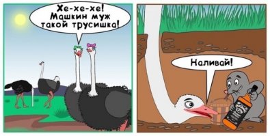 Девушка купила яйцо и высидела птицу эму