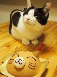 Заказчик доволен!)