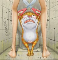 Взаимная жестокость)))