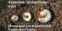 Наглядно о странах, не имеющих выхода к Мировому океану
