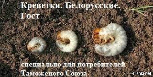 Наглядно о странах, не имеющих выхода к Мировому океану