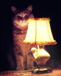 Что делать, если у сумасшедшей на руках оказался ребёнок?