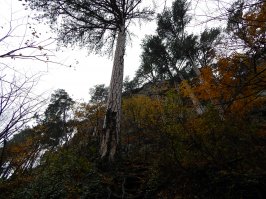 Осенний Крым.