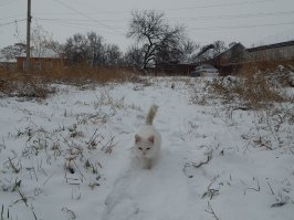 Фотоподборка за 24.01.2017