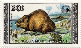 Где-то дома кляссер с марками лежит с надписью "Монгол Шуудан" (Почта Монголии)...