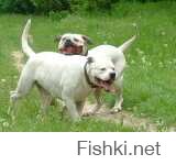 совершенно верно