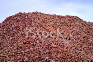 Коротко о том, как не надо пилить деревья 