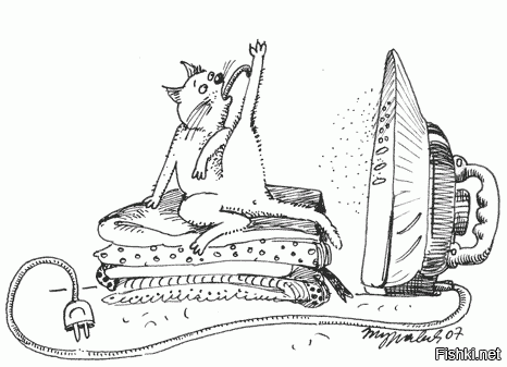 Жизнь котов