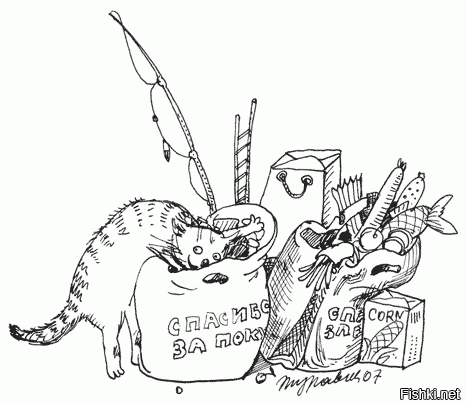 Жизнь котов