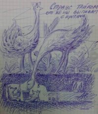 Девушка купила яйцо и высидела птицу эму