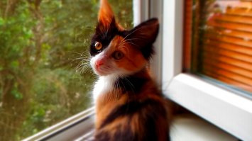 Моя малявка.