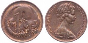 Собаки нашли в грязи это крошечное создание