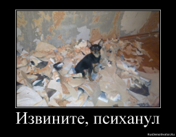 Извинеции в нашей жизни