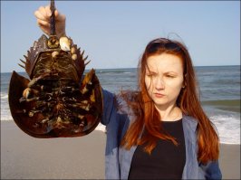 Доисторические существа пробудились