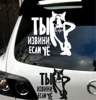 Извинеции в нашей жизни