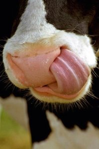 А так сможет?