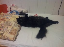 А наш так спит