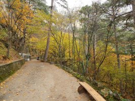 Тропинка к водопаду