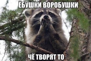 Самое абсурдное селфи в сети