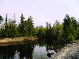 Моя супруга очень любит рыбалку, уже и спиннинг и фидер освоила, но больше нравится ей на пруду карасей на так называемую снасть: "убийца карася", этих карасиков таскать. сейчас скучает по лету и все время смотрит по ТВ - "Рыбалка и охота". 
Так то здорово с женой на рыбалке, мне самому ооочень нравится, особенно с ночевкой. У нас любимый пруд есть - около деревни Тавричанка. И от города далеко - народа мало, и место красивое, и... клюет - самое главное.