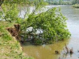 Моя супруга очень любит рыбалку, уже и спиннинг и фидер освоила, но больше нравится ей на пруду карасей на так называемую снасть: "убийца карася", этих карасиков таскать. сейчас скучает по лету и все время смотрит по ТВ - "Рыбалка и охота". 
Так то здорово с женой на рыбалке, мне самому ооочень нравится, особенно с ночевкой. У нас любимый пруд есть - около деревни Тавричанка. И от города далеко - народа мало, и место красивое, и... клюет - самое главное.