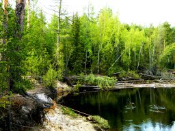 Моя супруга очень любит рыбалку, уже и спиннинг и фидер освоила, но больше нравится ей на пруду карасей на так называемую снасть: "убийца карася", этих карасиков таскать. сейчас скучает по лету и все время смотрит по ТВ - "Рыбалка и охота". 
Так то здорово с женой на рыбалке, мне самому ооочень нравится, особенно с ночевкой. У нас любимый пруд есть - около деревни Тавричанка. И от города далеко - народа мало, и место красивое, и... клюет - самое главное.