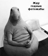 Герой, в котором мы нуждались: новый мем "Ждун" покорил интернет