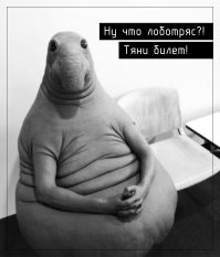 Новый мем «Ждун» стал героем шуток и фотожаб