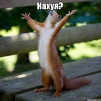 Такого вы еще не видели! Золотая рыбка управляет своим собственным аквариумом