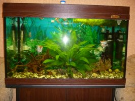 А это мои питомцы)))