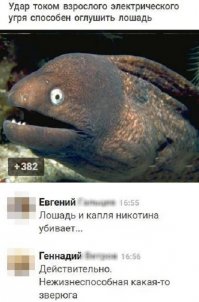 Мурена тоже возмущена))))