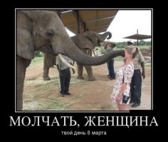 Некоторые интересные факты о слонах