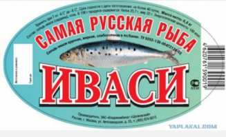 Сельдь Иваси