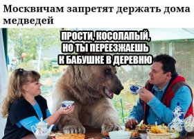 Люди и животные. Подборка прикольных фото