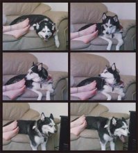 Десница карающая