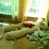 Десница карающая