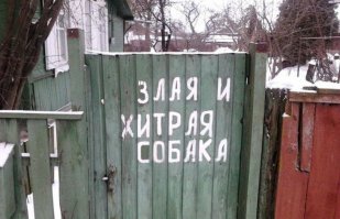 Жизненные, яркие и грустные надписи наших будней
