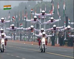 На юг полетели...