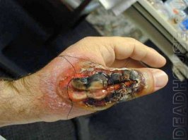 А вот крестовичок постарался: