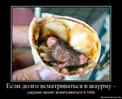 Уличная еда: общепит разных уголков мира и его работники