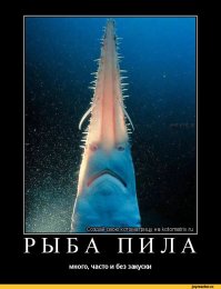 Скат-пилорыл или рыба-пила