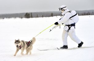я в 1996г. так катался на лыжах в армии.
