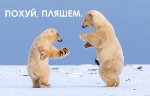 Разные и веселые картинки из сети